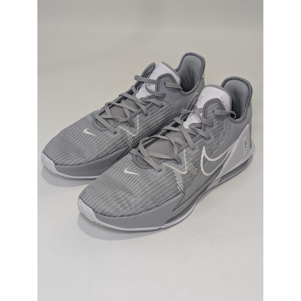 Nike LeBron Witness 6 TB Wolf Grey Basketball DO9843-001 Men's 2022 Size 18